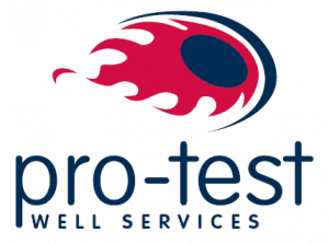 Pro-test-Logo-3-300x223.png